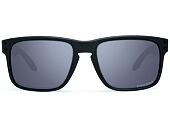 Brýle Oakley Holbrook Steel/Prizm Daily Polarized OO9102-B5