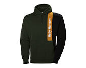 Mikina Helly Hansen Yu Blocked Hoodie 454 Mountain