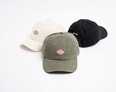Kšiltovka Dickies Hardwick AGR Army Green