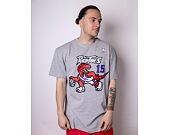 Triko Mitchell & Ness INTL972 Toronto Raptors Vince Carter 15 Grey