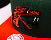 Kšiltovka Mitchell & Ness NCAA Team 2 Tone 2.0 Snapback Florida A&M University Green / Orange