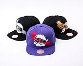 Kšiltovka Mitchell & Ness NBA Paint By Number Snapback HWC Raptors