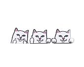 Samolepky Rip N Dip Peeking Nermal Car Stickers Pack (White)