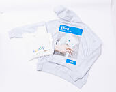 Mikina Rip N Dip - A Bird Hoodie Ash Heather