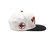 Kšiltovka Nike - Cooperstown Dri-Fit Pro - Boston Red Sox - White 10A/Pitch Blue 4FA