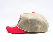 Kšiltovka Mitchell & Ness - NHL Retro Roots Deadstock - Florida Panthers - Cream