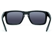 Brýle Oakley Holbrook Steel/Prizm Daily Polarized OO9102-B5