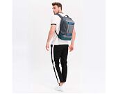 Batoh Aevor Bookpack Echo Grape