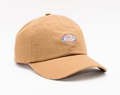 Kšiltovka Dickies Hardwick Brown BD0