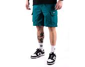 Kraťasy Dickies JACKSON CARGO SHORT DK0A4YACE641