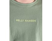 Triko Helly Hansen Core Graphic Tee Jade 2.0