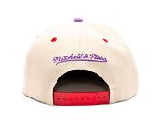 Kšiltovka Mitchell & Ness NBA Pop Panel Snapback Hwc Toronto Raptors Off White