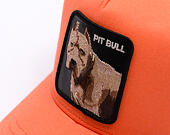 Kšiltovka Goorin - The Dog Pitbull - Orange