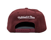 Kšiltovka Mitchell & Ness - NHL Fashion Basic Snapback - Detroit Red Wings - Dark Purple