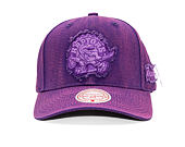 Kšiltovka Mitchell & Ness - NBA Downtown Pro Snapback Hwc - Toronto Raptors - Purple